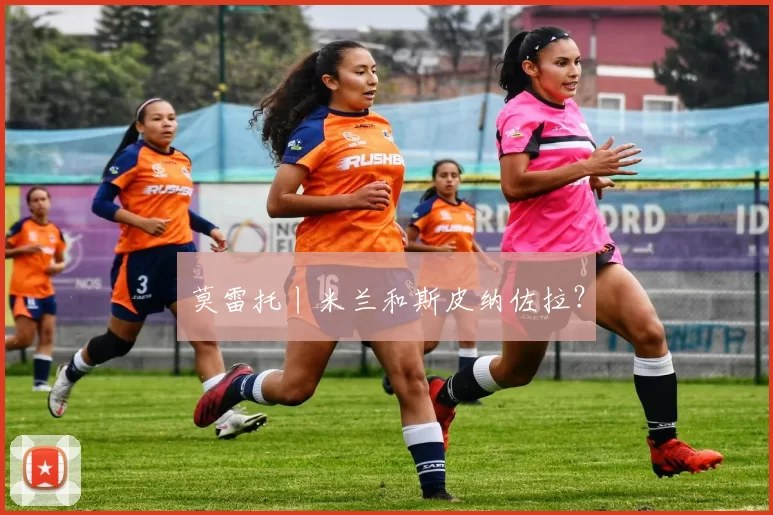 莫雷托丨米兰和斯皮纳佐拉？