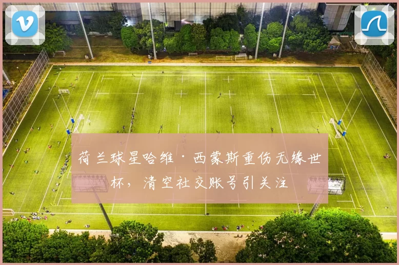 荷兰球星哈维·西蒙斯重伤无缘世界杯，清空社交账号引关注