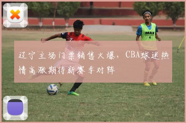 辽宁主场门票销售火爆,CBA球迷热情高涨期待新赛季对阵
