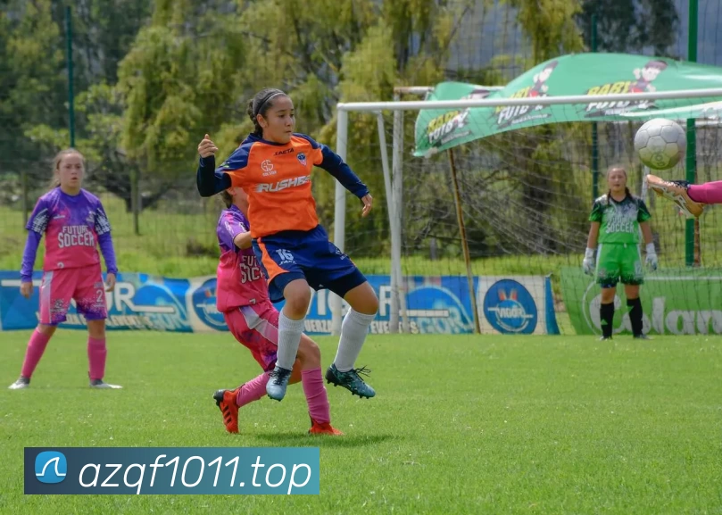 开云股份有限公司 - (中国大陆)Kaiyun·官方网站平台生态图