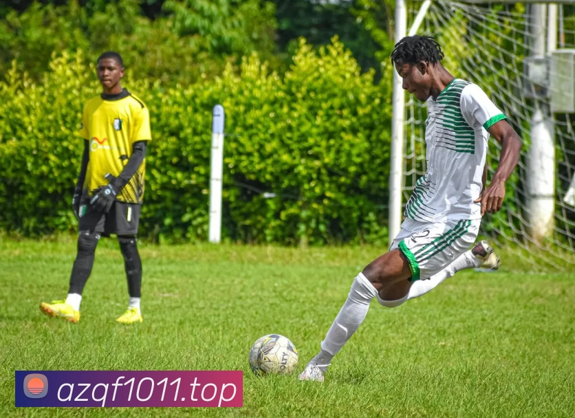 开云股份有限公司 - (中国大陆)Kaiyun·官方网站品牌故事