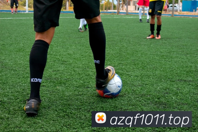 开云股份有限公司 - (中国大陆)Kaiyun·官方网站APP 封面图