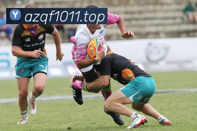 数据防护可视化